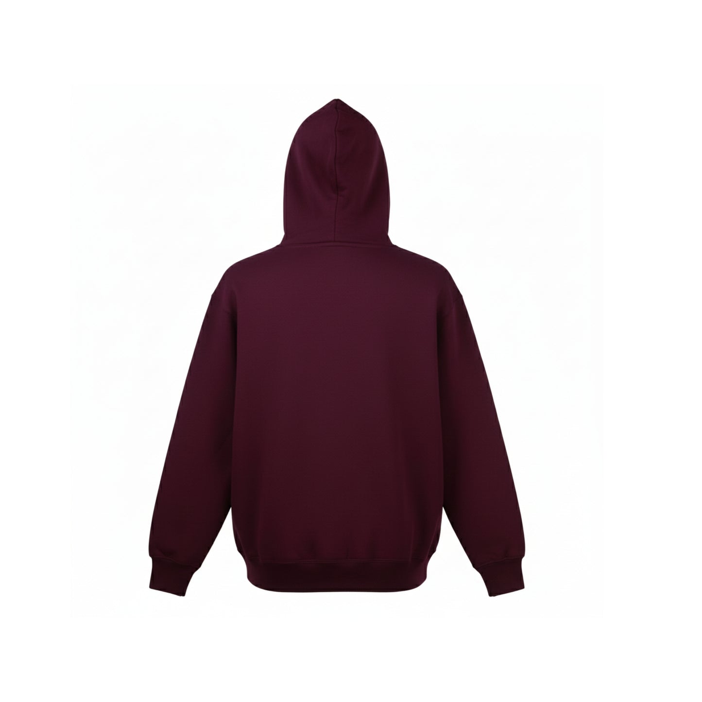 Regular Fit Hoodie